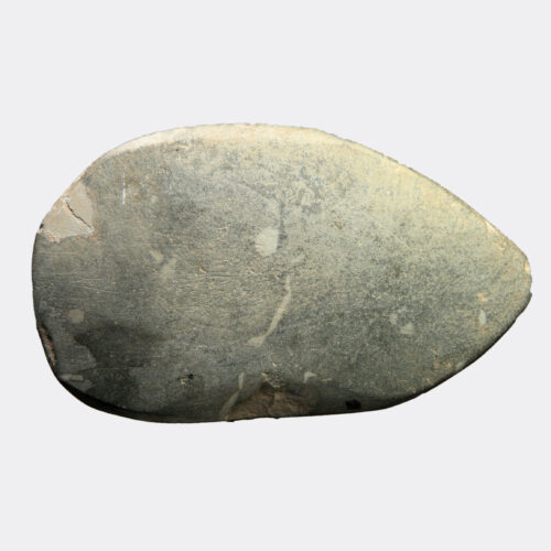 Egyptian Antiquities - Egyptian Predynastic greywacke fish shaped palette