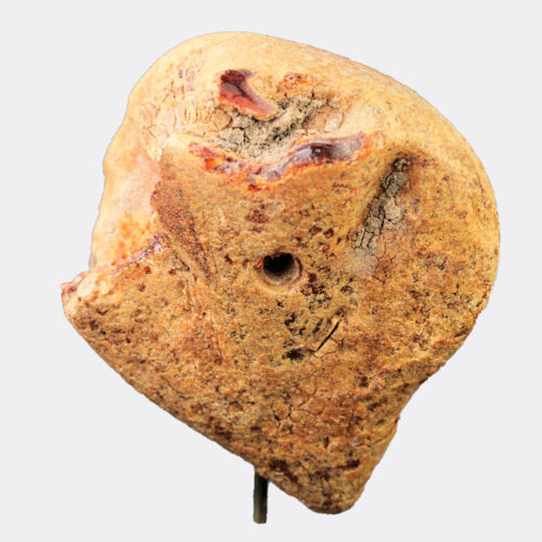 Miscellaneous Antiquities - Etruscan amber human head pendant
